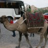 2 dan - Adana-Tarz-Kapadocija-Konya_034